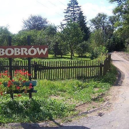 Karpnicka Struga W Dolinie Palacow I Ogrodow Jelenia Góra Esterno foto