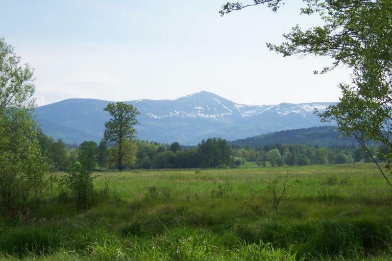 Karpnicka Struga W Dolinie Palacow I Ogrodow Jelenia Góra Esterno foto