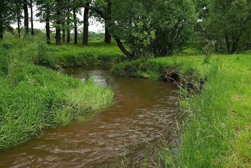 Karpnicka Struga W Dolinie Palacow I Ogrodow Jelenia Góra Esterno foto